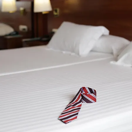 Hotel Avenida 4*